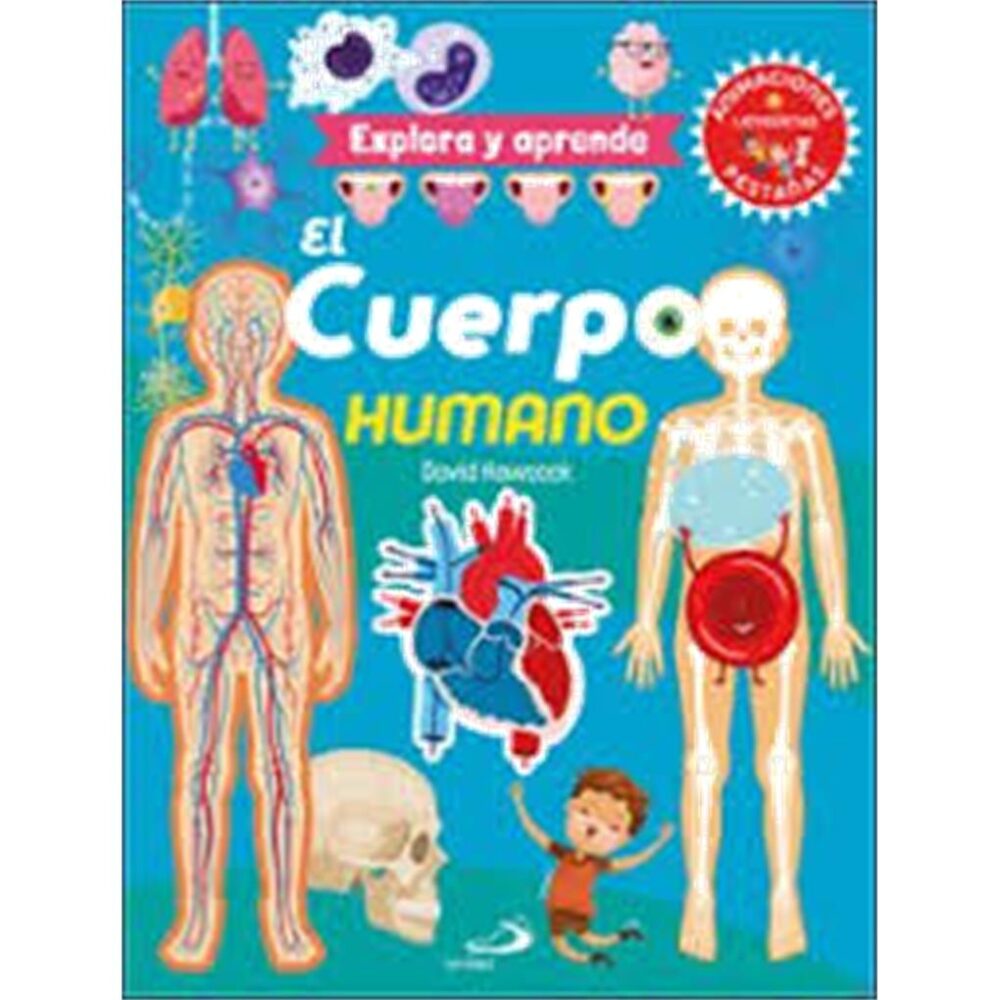 EL CUERPO HUMANO