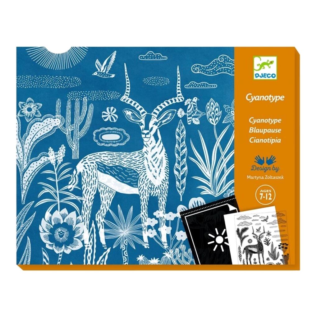 TALLERES SABANA NOCTURNA