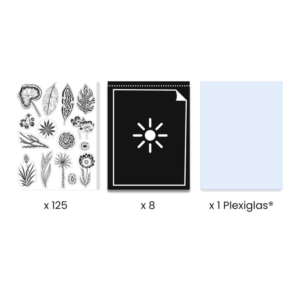 TALLERES SABANA NOCTURNA - Imagen 2