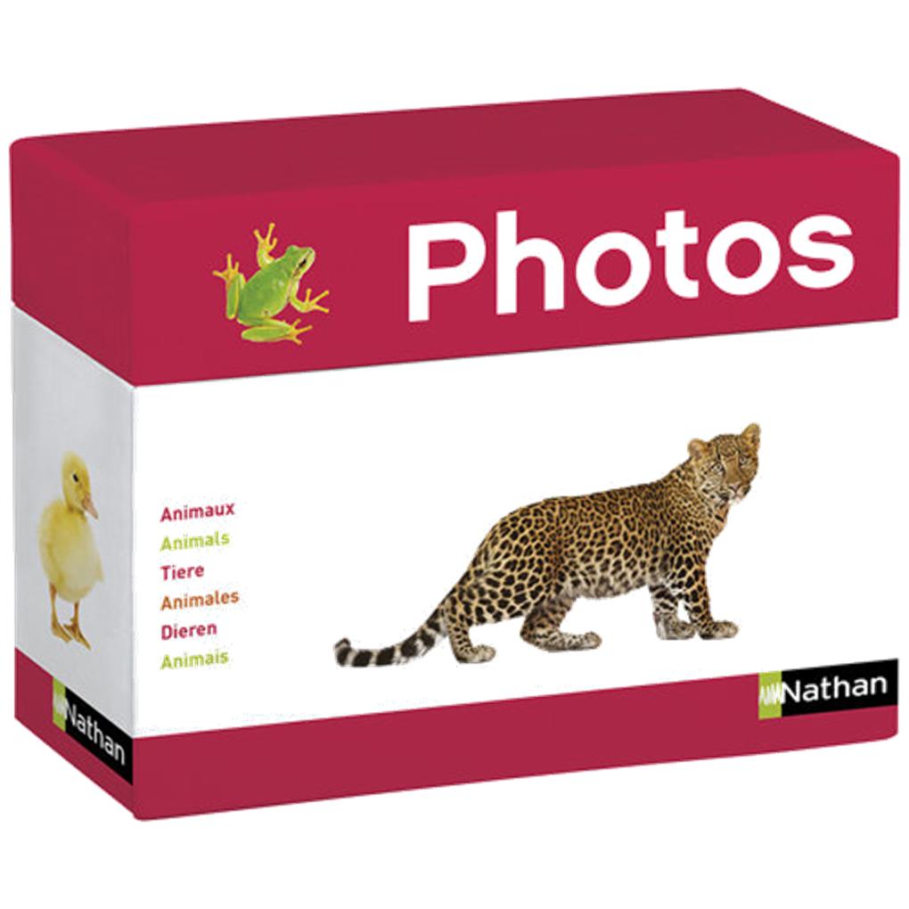 CAJA DE FOTOIMAGENES - ANIMALES