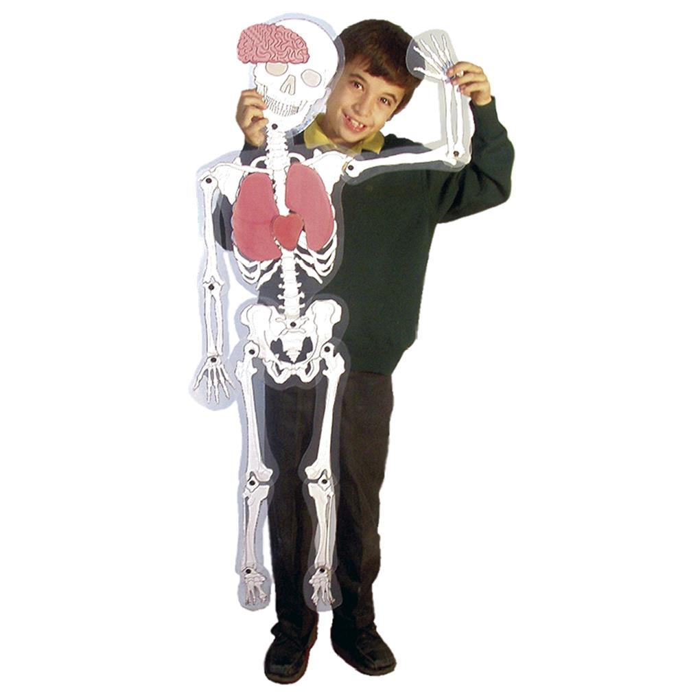 SKELETON MAN - HOMBRE ESQUELETO