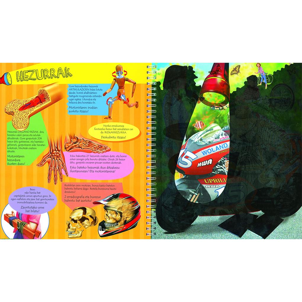 GIZA GORPUTZA - Imagen 2