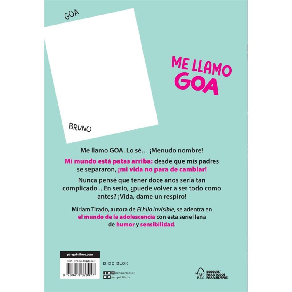 Alternative view of ME LLAMO GOA 1