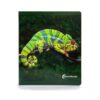 ANIMALES DE LA SELVA