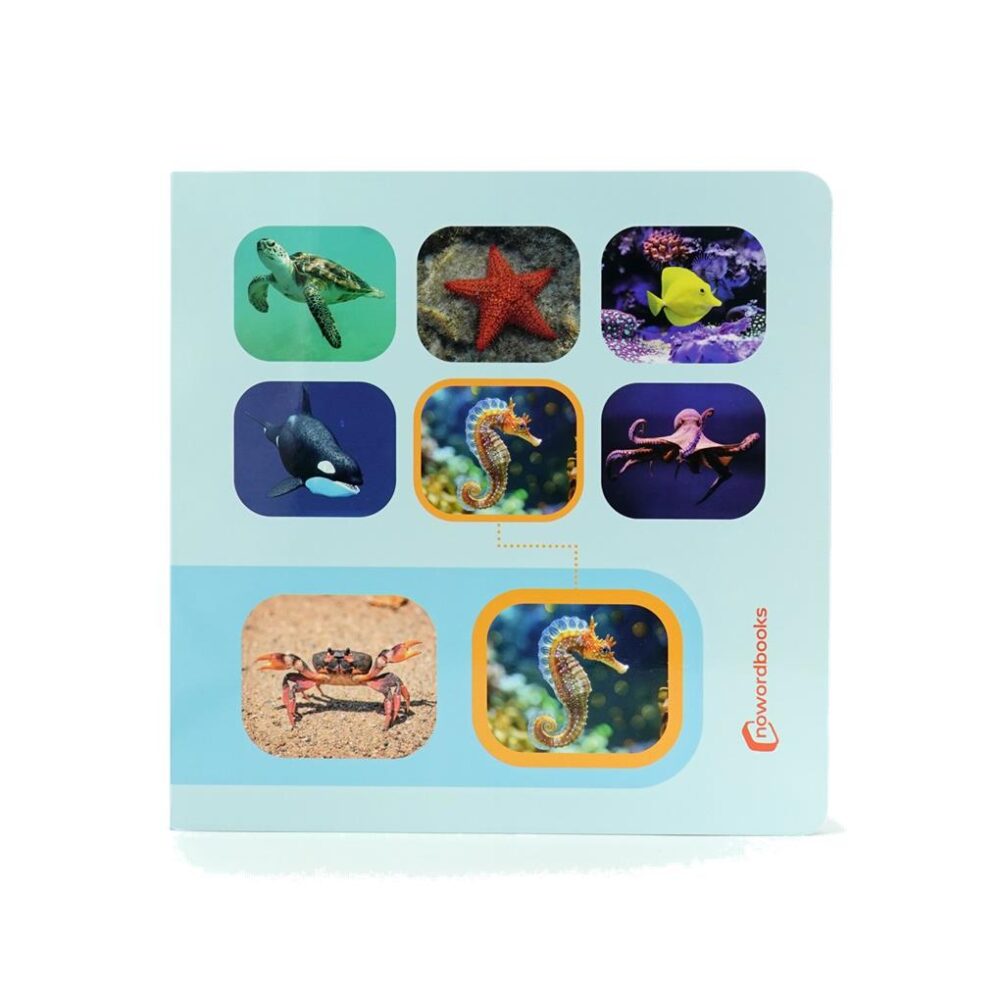 BUSCA Y ENCUENTRA MARINOS