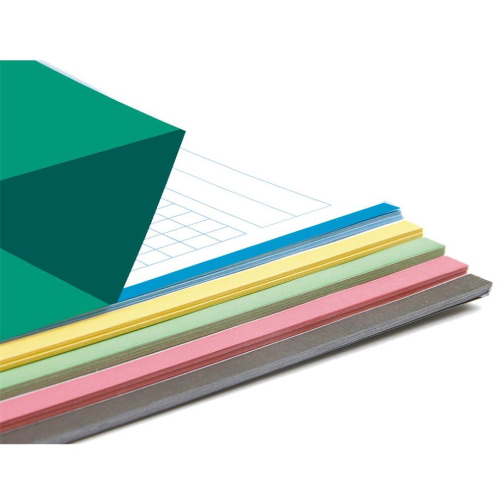 RECAMBIO LIDERPAPEL A4 100 HOJAS 100 G/M2 CUADRO 5 MM 4 TALADROS BANDAS DE 5 COL