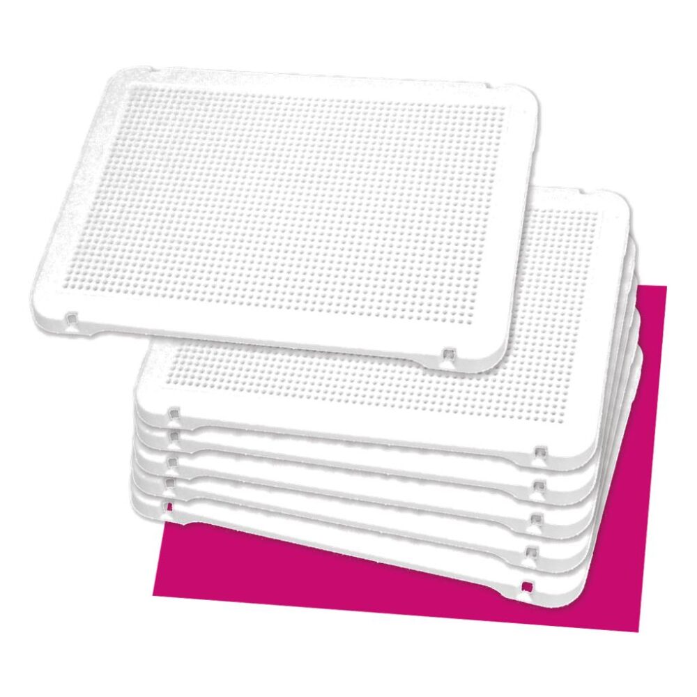PLACA BLANCA PARA PINCHOS (30 X 21 CM.) - UNIDAD