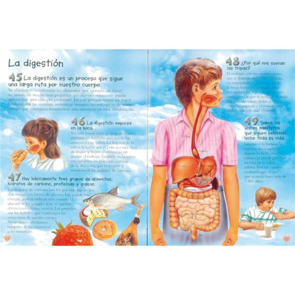 Alternative view of EL CUERPO HUMANO - 101