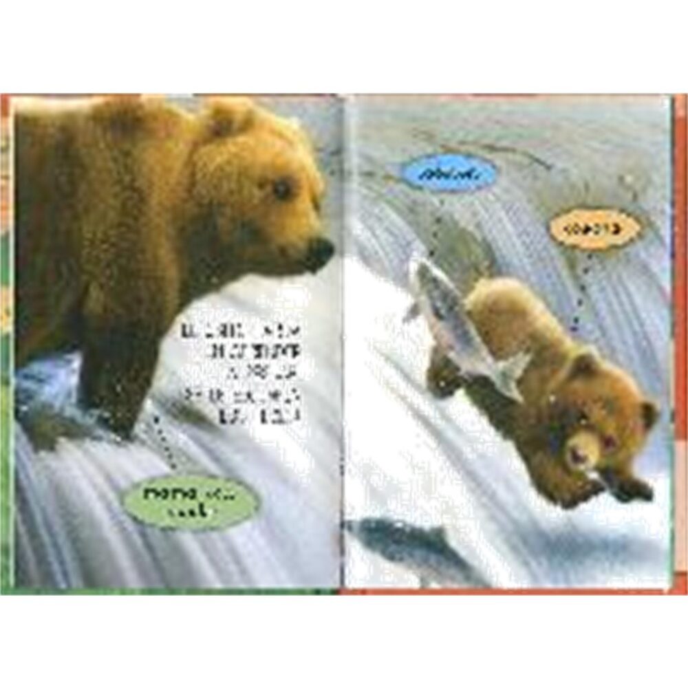 Alternative view of APRENDO A LEER LOS BEBES DE LOS ANIMALES