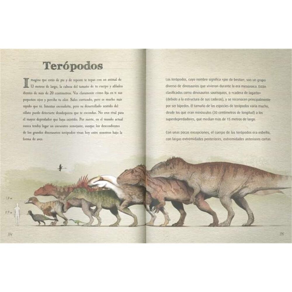 Alternative view of DEL JURASICO AL CRETACICO