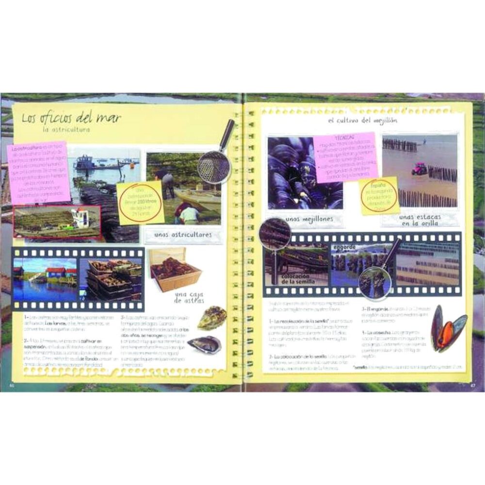 Alternative view of EL MAR - MI CUADERNO DE EXCURSIONISTA