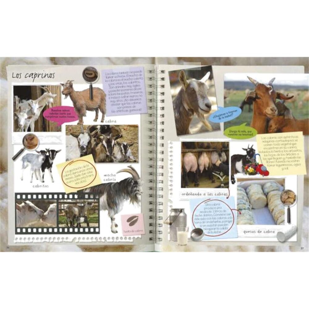 Alternative view of LA GRANJA - MI CUADERNO DE EXCURSIONISTA