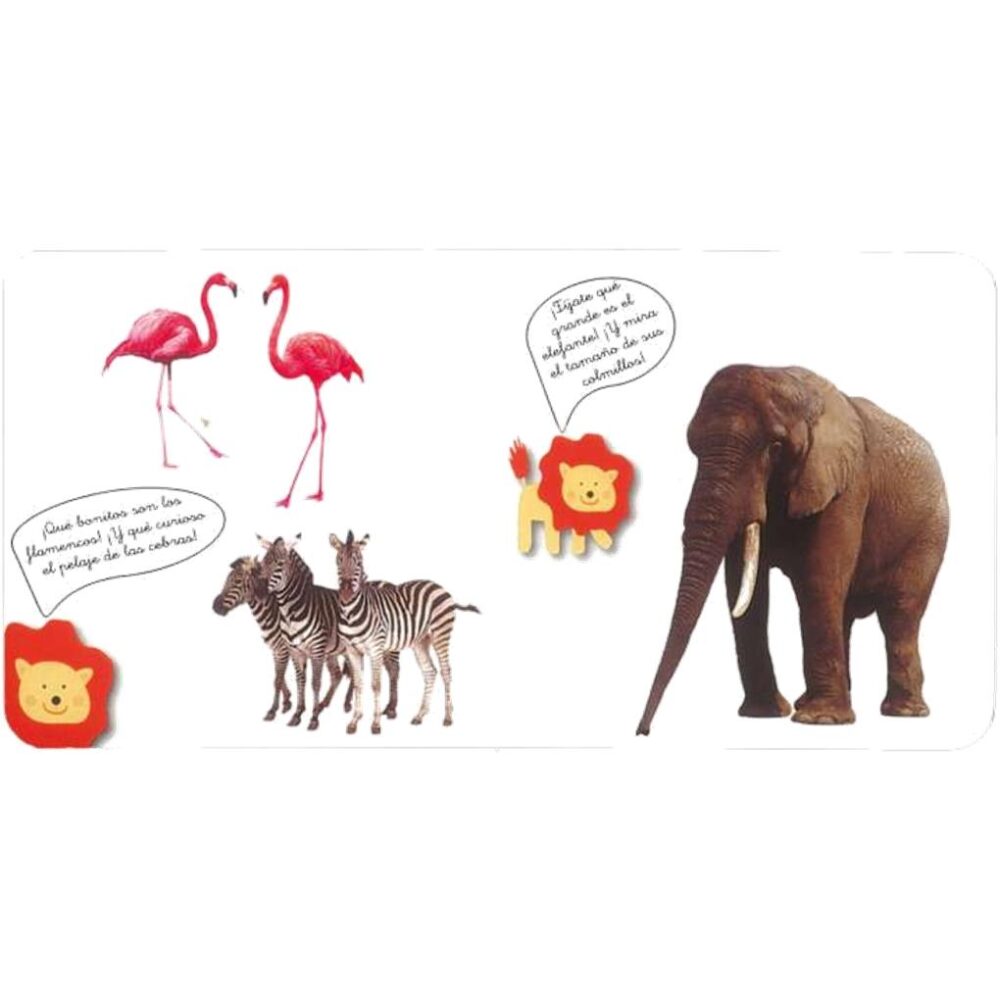 Alternative view of ANIMALES