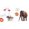 ANIMALES - Imagen 2