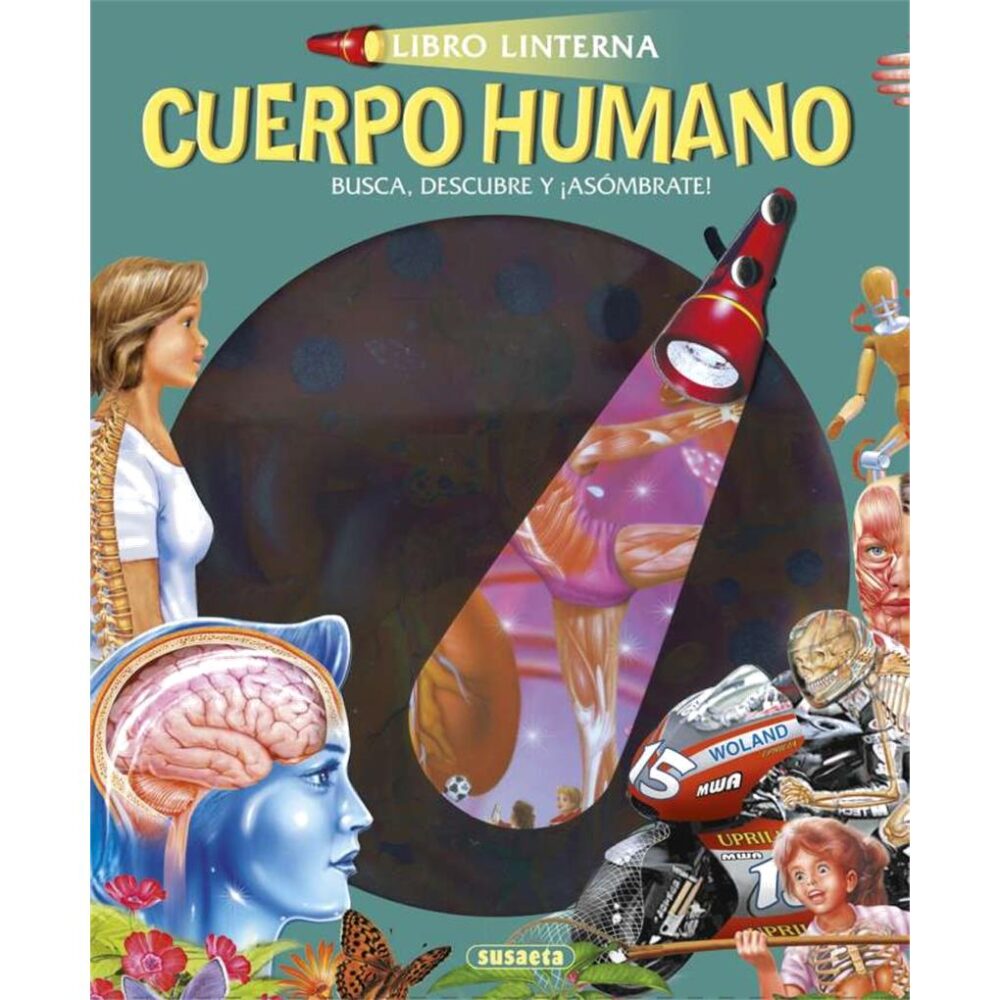 CUERPO HUMANO