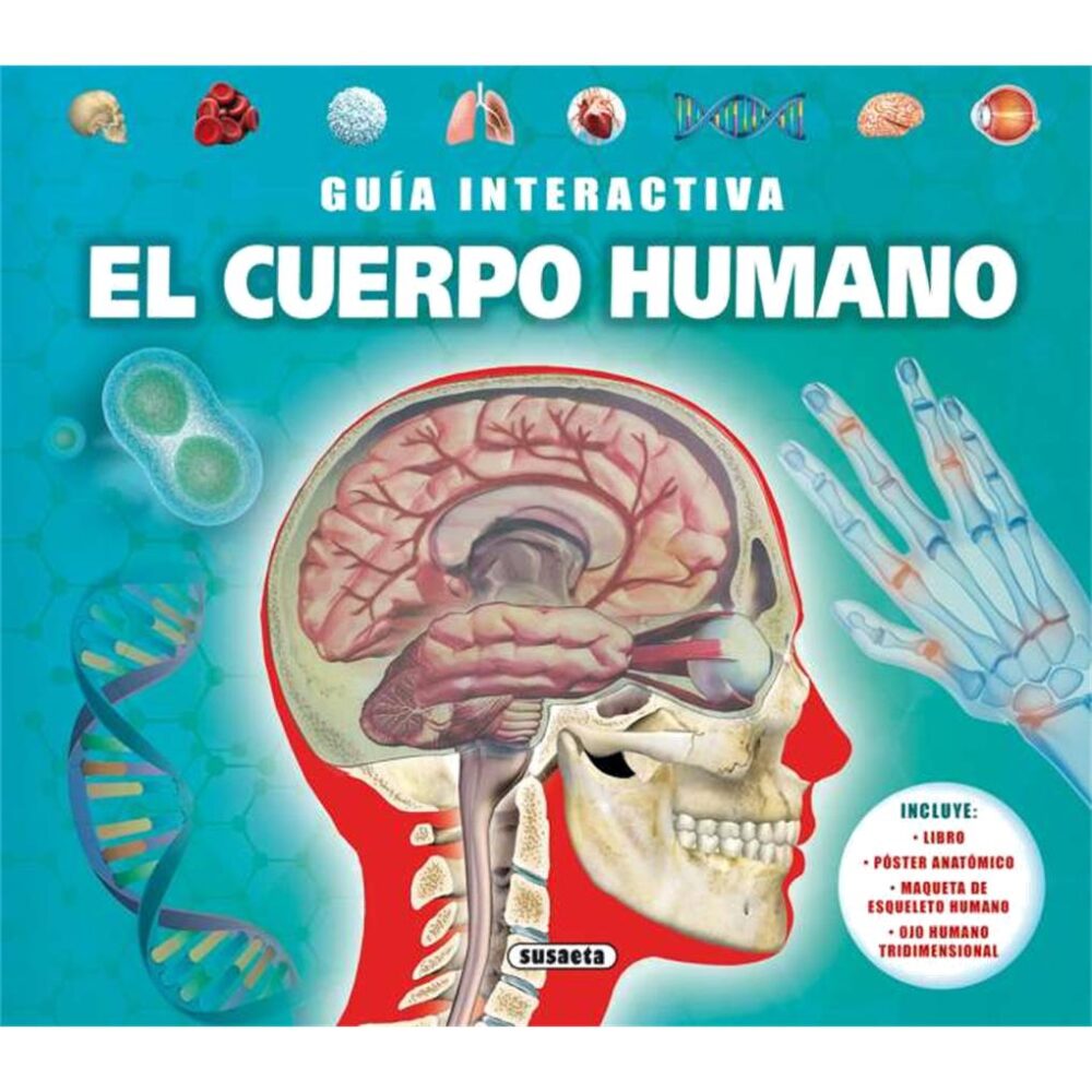 EL CUERPO HUMANO
