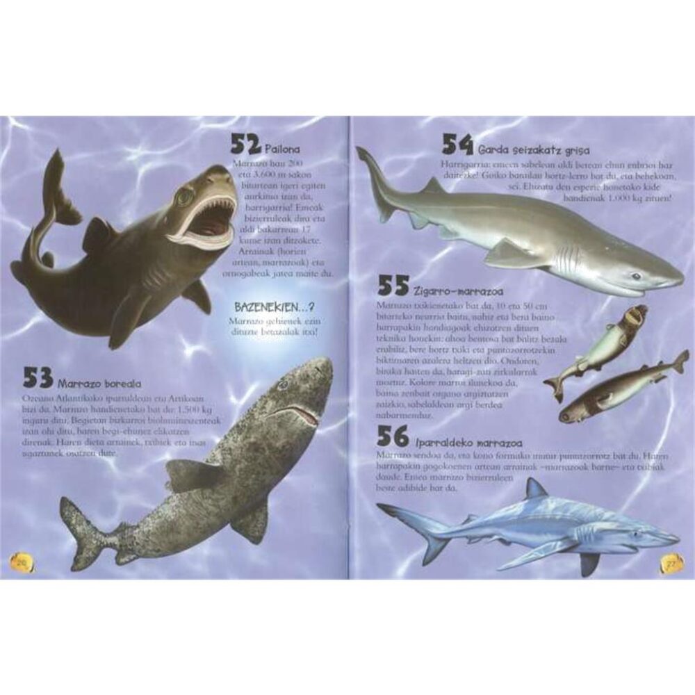Alternative view of 101 GAUZA BURUZ JAKIN BEHARKO ZENITUZKEEN URETAKO ANIMALIEI ETA MARRAZOEI