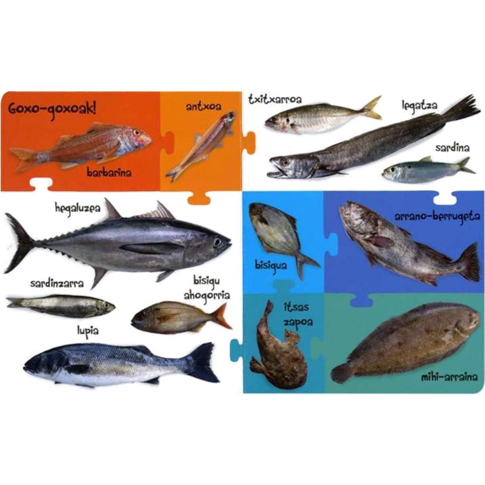 Alternative view of ITSASOKO ANIMALIAK