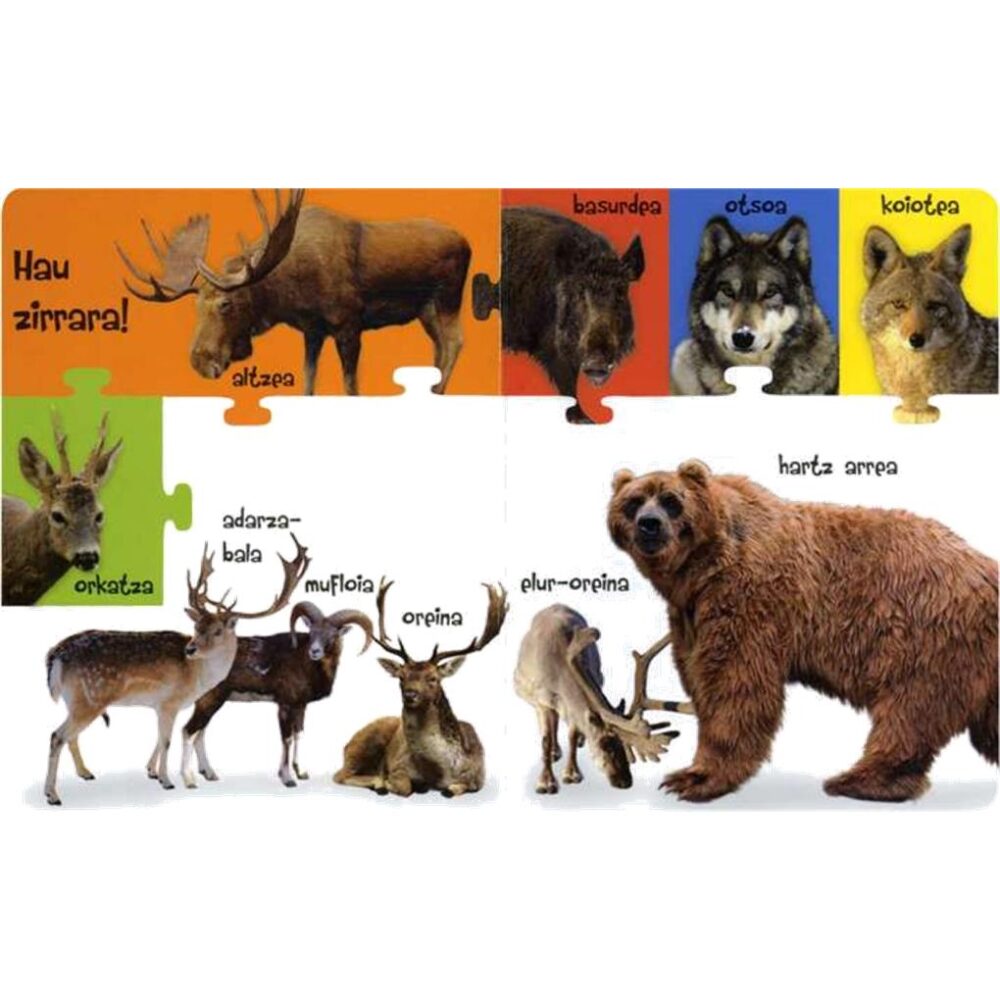 Alternative view of BASOKO ANIMALIAK