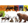 BASOKO ANIMALIAK - Imagen 2