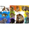 ANIMALIA BASATIAK - Imagen 2