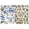 1000 ANIMALIA BILATU - Imagen 3